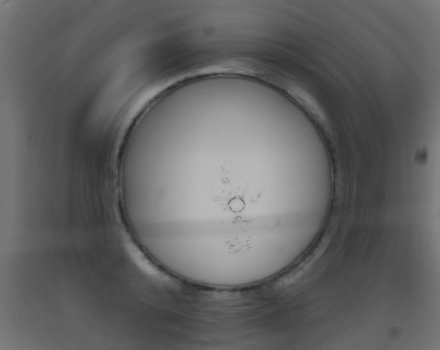 X0000093500800200710121042