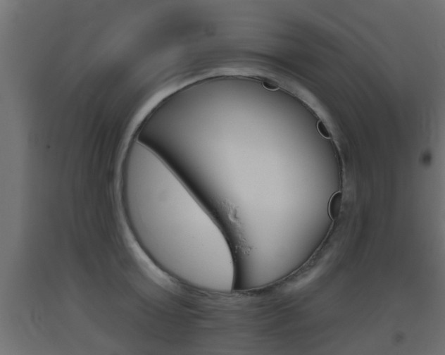 X0000093500803200710121042