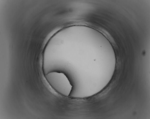 X0000093500804200710121042