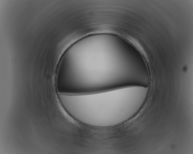 X0000093500805200710121042