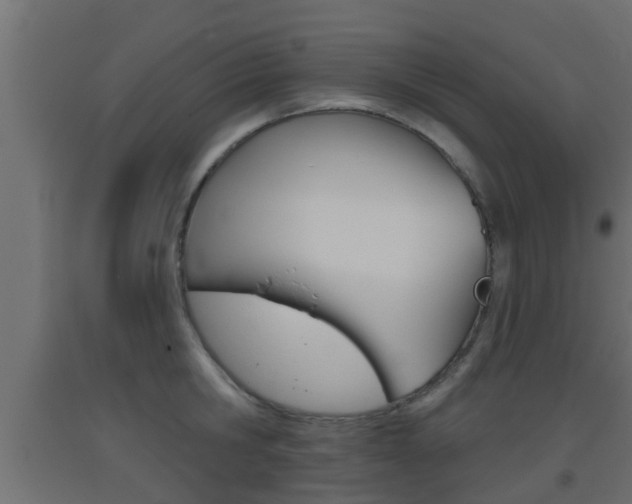 X0000093500806200710121042