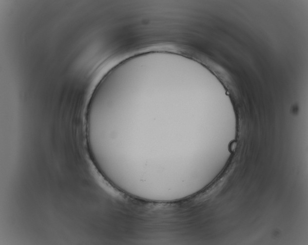 X0000093500808200710121042