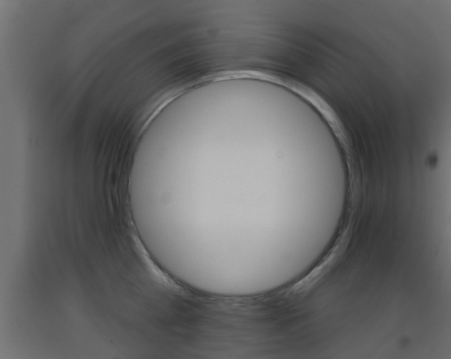 X0000093500809200710121042