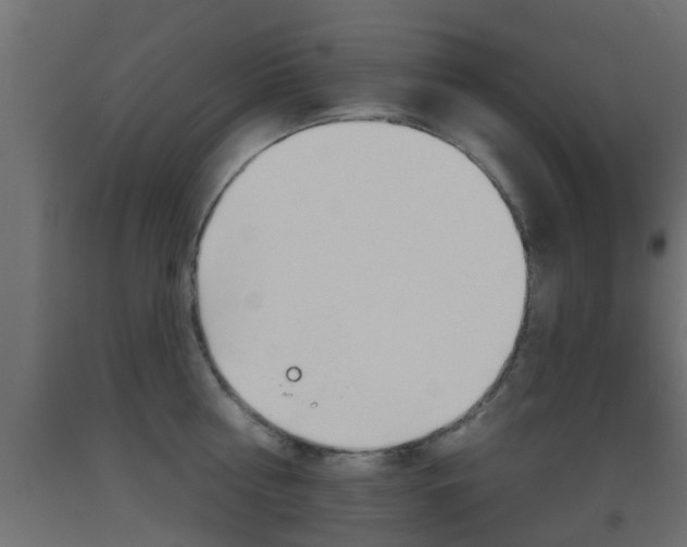X0000093500810200710121042