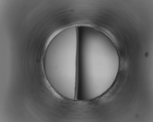 X0000093500812200710121042