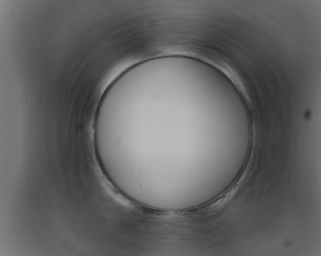 X0000093500814200710121042