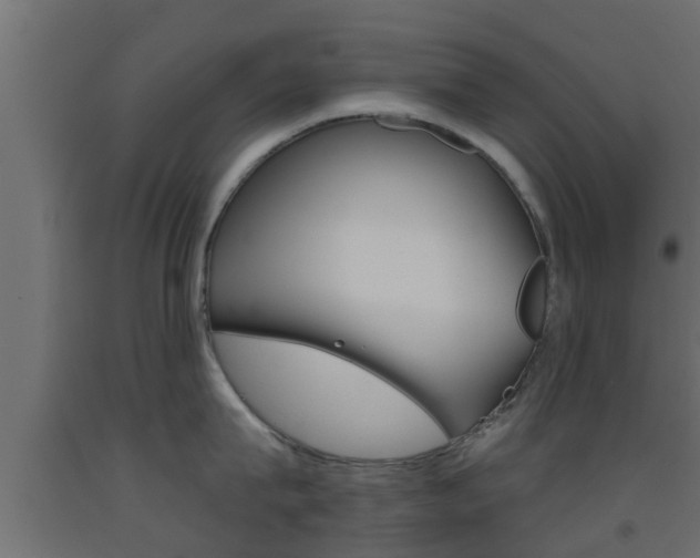 X0000093500815200710121042