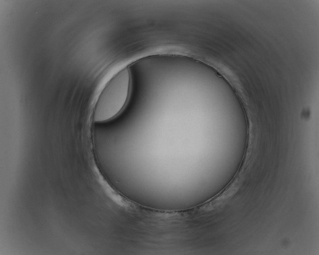 X0000093500816200710121042