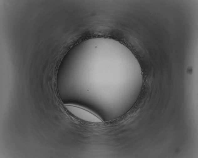 X0000093500817200710121041