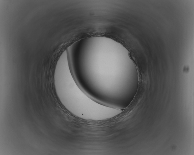 X0000093500818200710121041