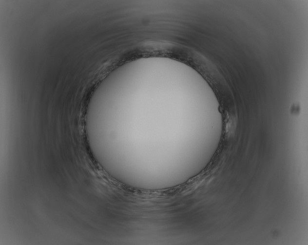 X0000093500819200710121041