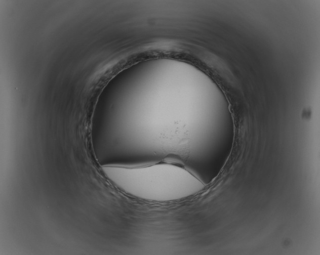 X0000093500822200710121041