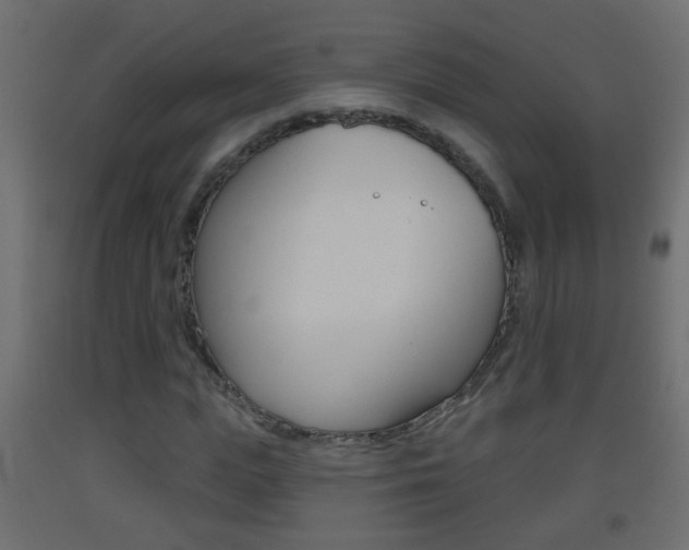 X0000093500823200710121041