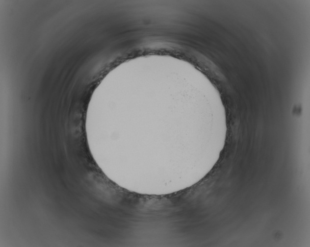 X0000093500824200710121041