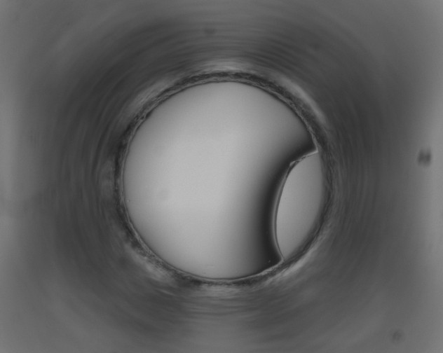X0000093500825200710121041