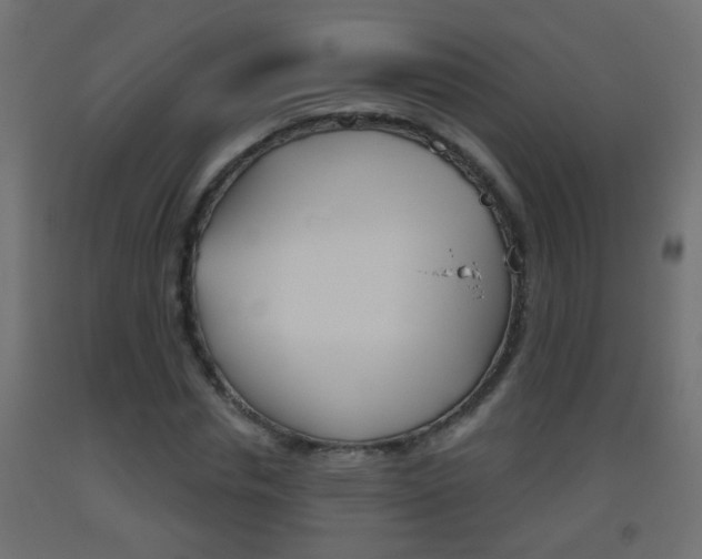 X0000093500826200710121041