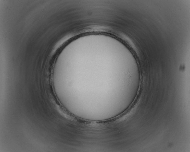 X0000093500827200710121041