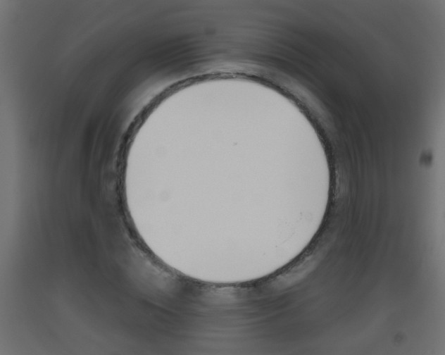 X0000093500828200710121041