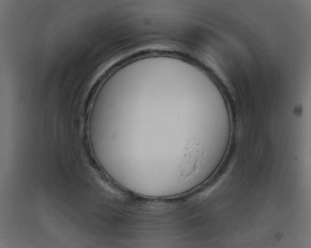 X0000093500829200710121041