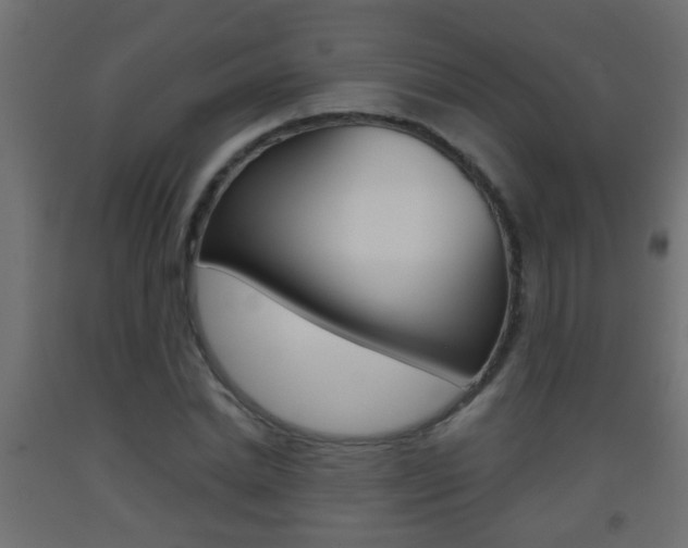 X0000093500830200710121041