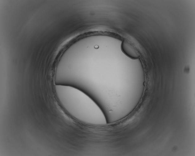 X0000093500831200710121041