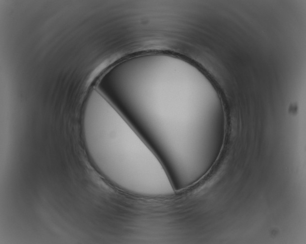 X0000093500834200710121041
