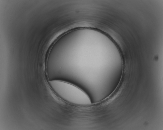 X0000093500837200710121041