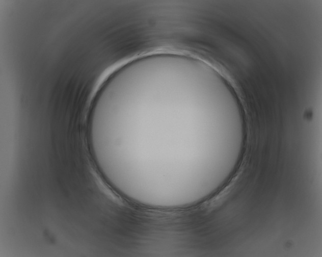 X0000093500838200710121041