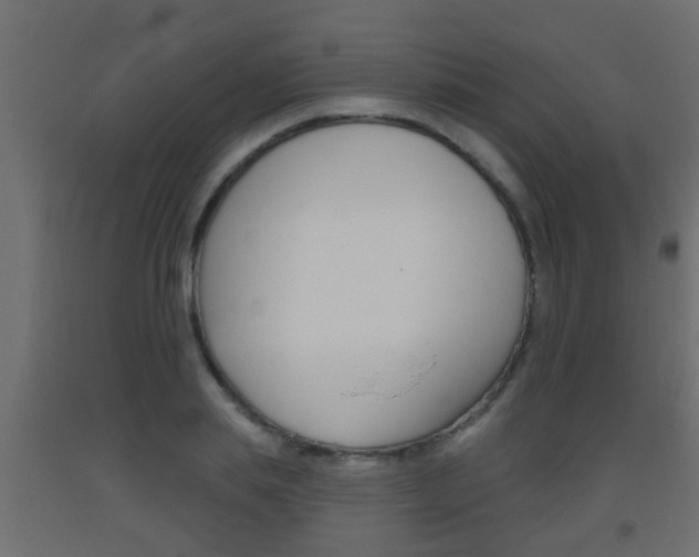 X0000093500839200710121041
