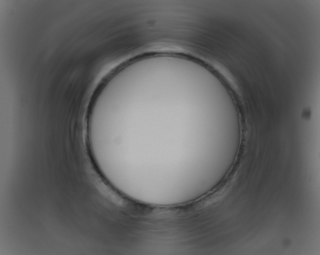 X0000093500840200710121041