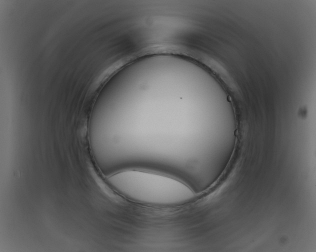 X0000093500841200710121041