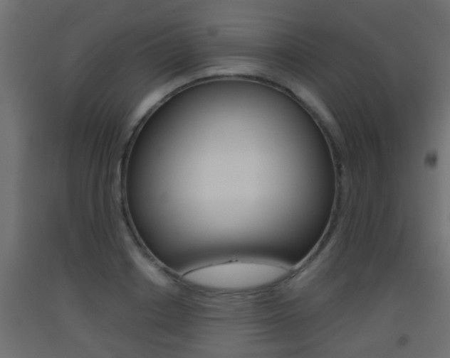 X0000093500842200710121041