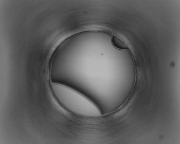 X0000093500843200710121041