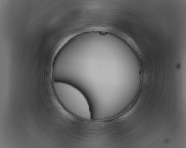 X0000093500844200710121041
