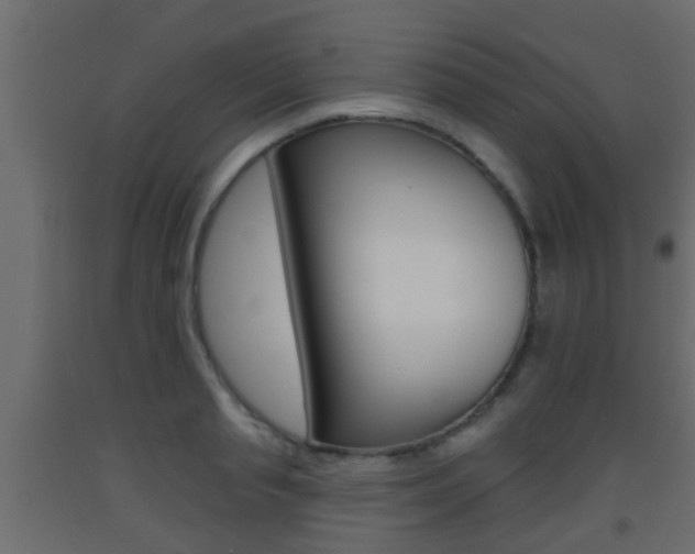 X0000093500845200710121041