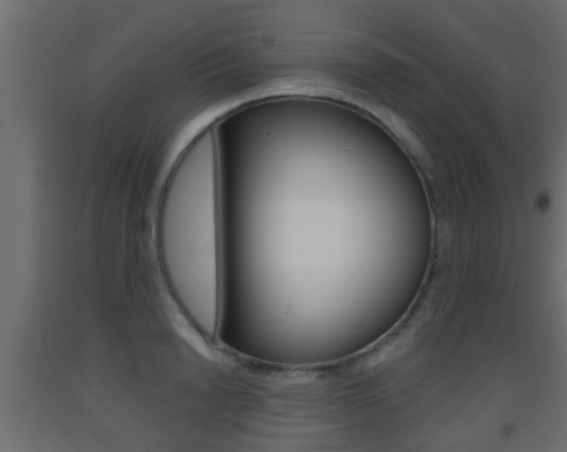 X0000093500846200710121041
