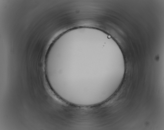 X0000093500848200710121041