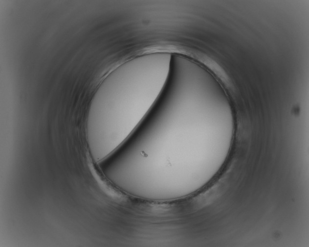 X0000093500849200710121042
