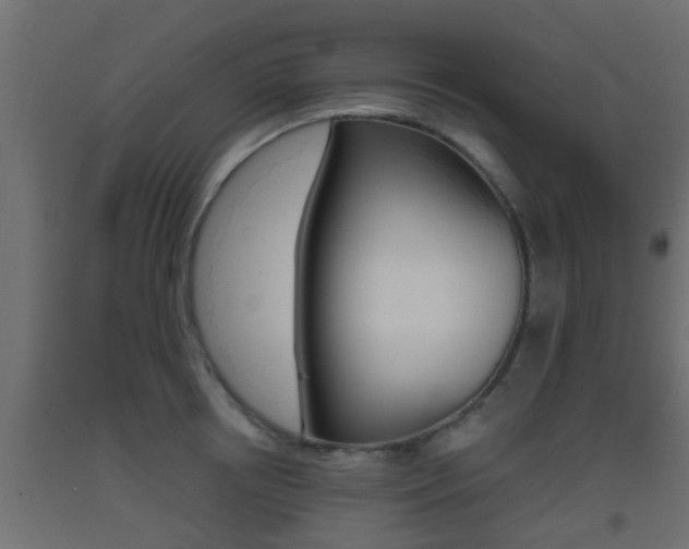 X0000093500850200710121042