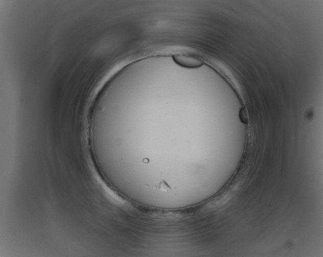 X0000093500851200710121042
