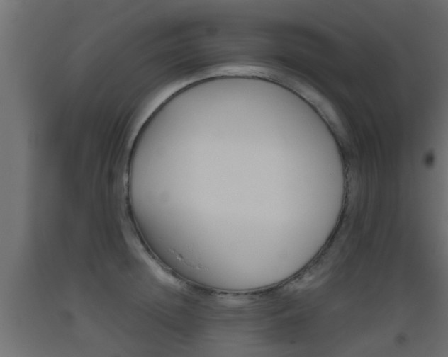 X0000093500852200710121042