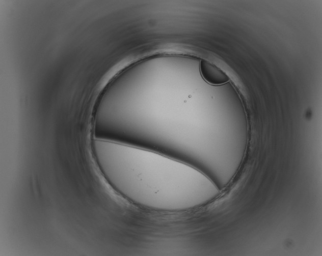 X0000093500853200710121042