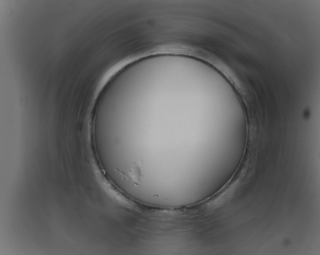 X0000093500854200710121042