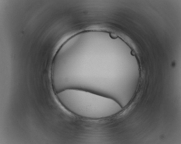 X0000093500855200710121042