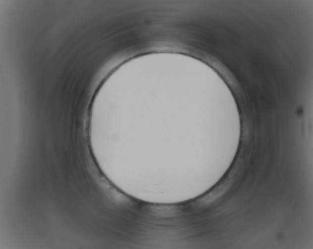 X0000093500856200710121042