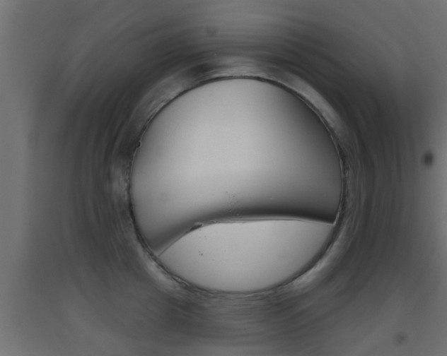 X0000093500857200710121042