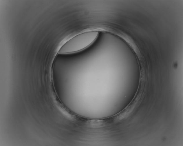 X0000093500858200710121042
