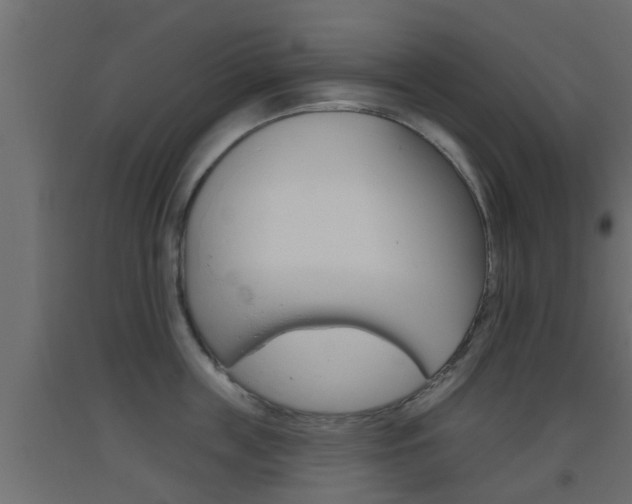 X0000093500859200710121042