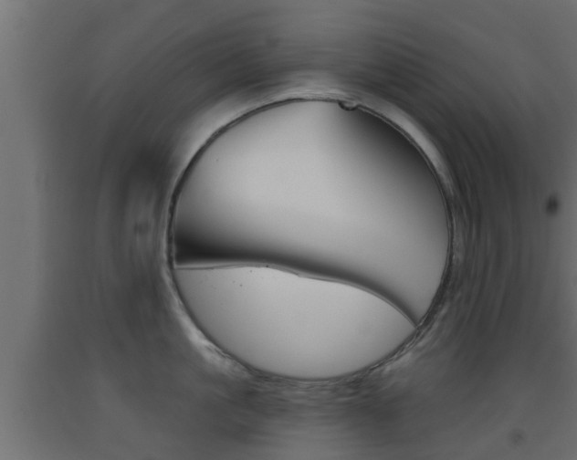 X0000093500861200710121042