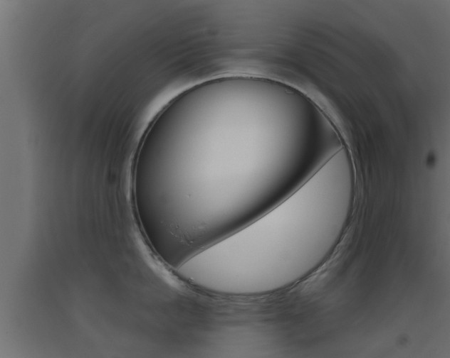 X0000093500862200710121042